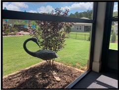 Heron In Porch